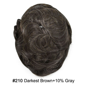 #210 Darkest Brown+10% Gray